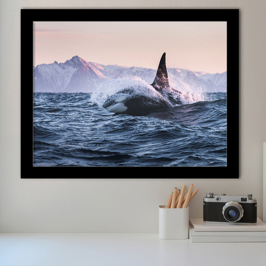 Killer Whale Sunset Dangerous Animal Framed Art Prints Wall Decor - Painting Prints, Wall Art, Framed Picture, Black Frame