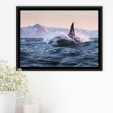 Killer Whale Sunset Dangerous Animal Framed Canvas Prints Wall Art - Painting Canvas, Wall Decor, Canvas Art, Floating Frame