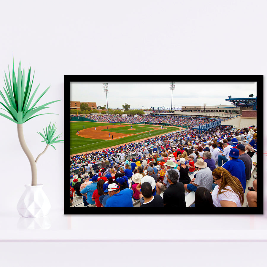 Kino Veterans Memorial, Stadium Canvas, Sport Art, Gift for him, Framed Art Prints Wall Art Decor, Framed Picture