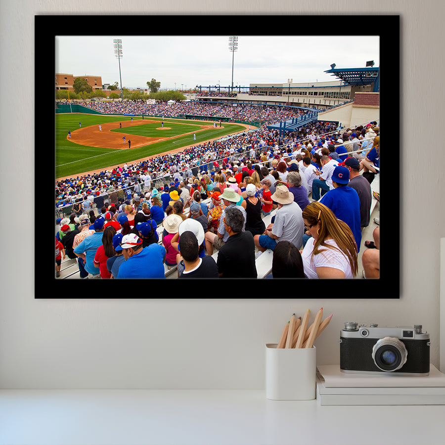 Kino Veterans Memorial, Stadium Canvas, Sport Art, Gift for him, Framed Art Prints Wall Art Decor, Framed Picture