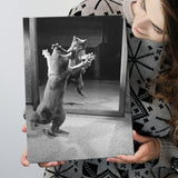Kitten Dance Photo Black And White Print, Funny Animal Photo Canvas Prints Wall Art Home Decor