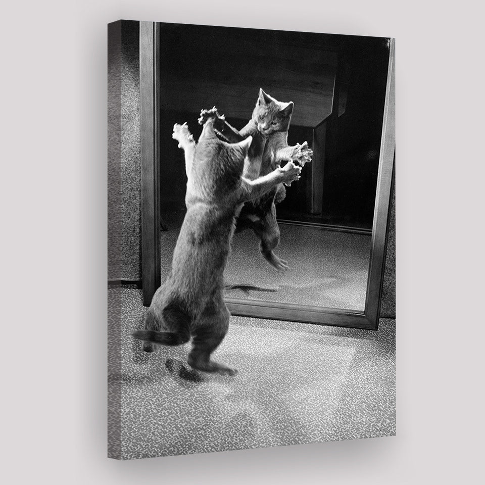 Kitten Dance Photo Black And White Print, Funny Animal Photo Canvas Prints Wall Art Home Decor