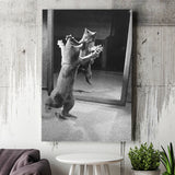 Kitten Dance Photo Black And White Print, Funny Animal Photo Canvas Prints Wall Art Home Decor