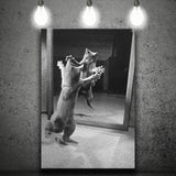 Kitten Dance Photo Black And White Print, Funny Animal Photo Canvas Prints Wall Art Home Decor