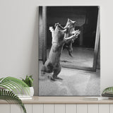 Kitten Dance Photo Black And White Print, Funny Animal Photo Canvas Prints Wall Art Home Decor