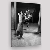 Kitten Dance Photo Black And White Print, Funny Animal Photo Canvas Prints Wall Art Home Decor