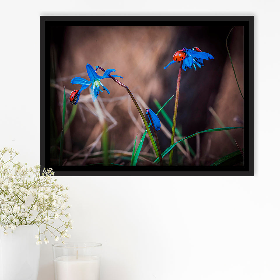 Ladybug Multi Panel Ladybug Framed Canvas Prints Wall Art Home Decor - Painting Canvas, Black Frame, Framed Picture
