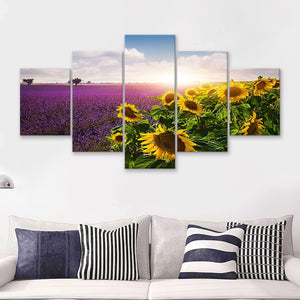 Lavender and sunflowers fields  Provence 5 Pieces Canvas Prints Wall Art - Painting Canvas, Multi Panels, Wall Decor