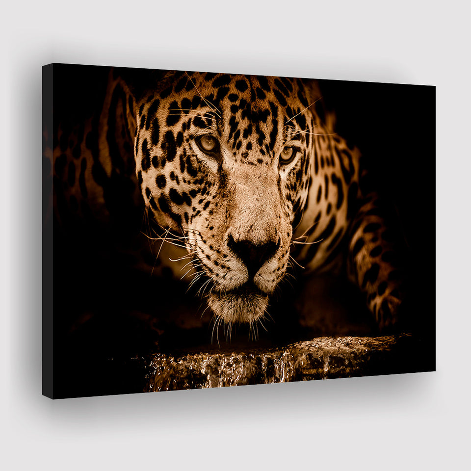 Leopard Safari Animal Canvas Prints Wall Art Decor - Painting Canvas,Home Decor, Ready to Hang