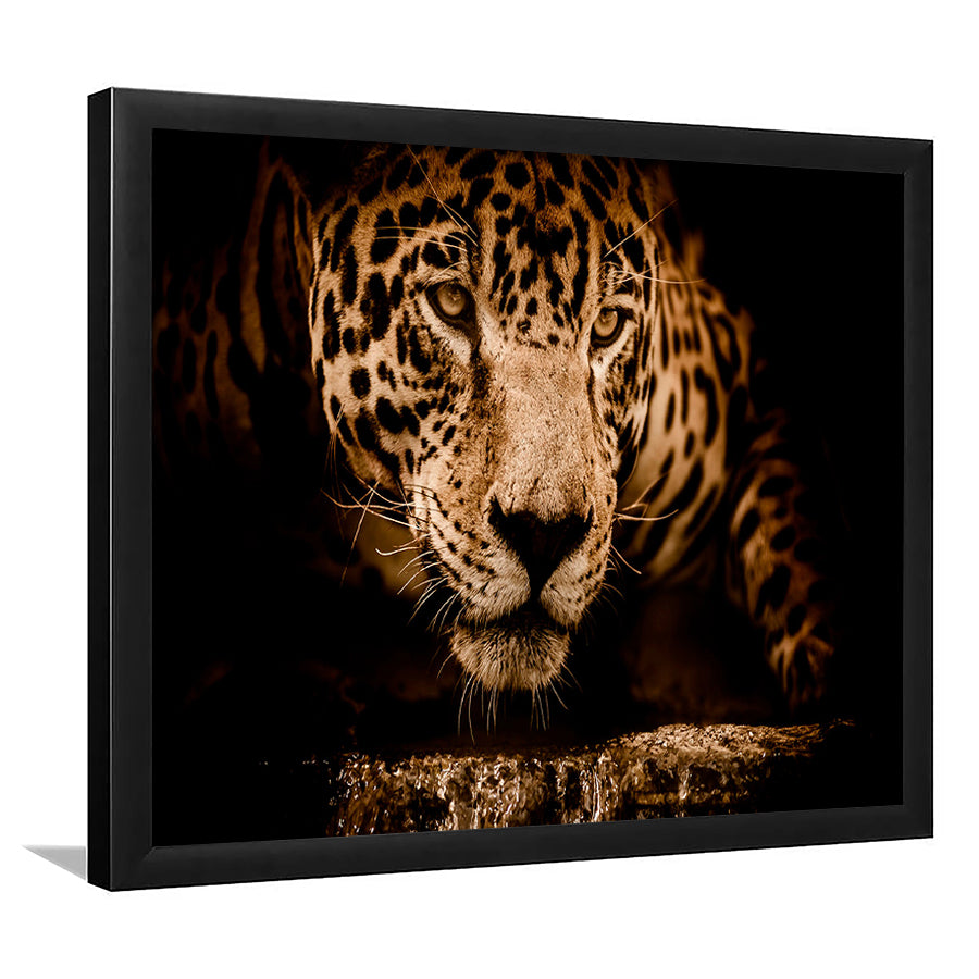 Leopard Safari Animal Framed Art Prints Wall Art Decor, Framed Picture, Home Decor