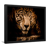 Leopard Safari Animal Framed Art Prints Wall Art Decor, Framed Picture, Home Decor