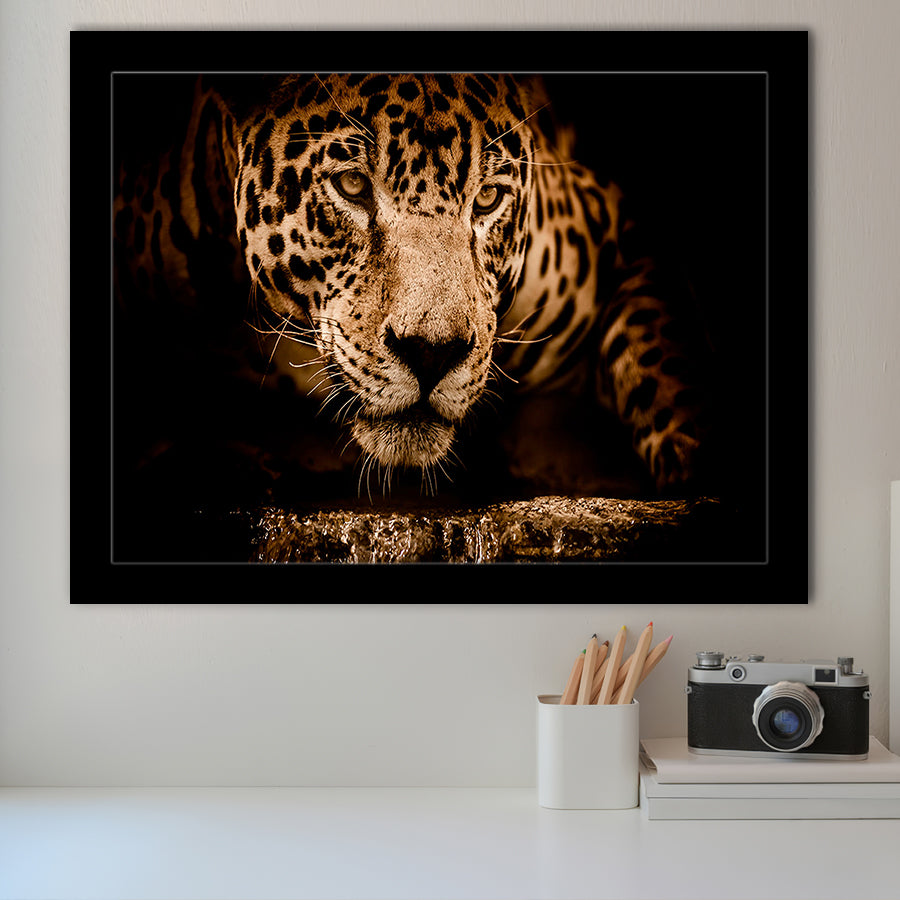 Leopard Safari Animal Framed Art Prints Wall Art Decor, Framed Picture, Home Decor
