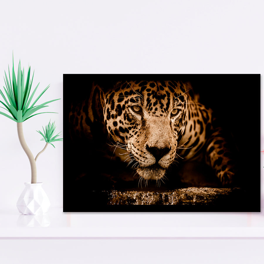 Leopard Safari Animal Framed Art Prints Wall Art Decor, Framed Picture, Home Decor
