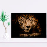 Leopard Safari Animal Framed Art Prints Wall Art Decor, Framed Picture, Home Decor