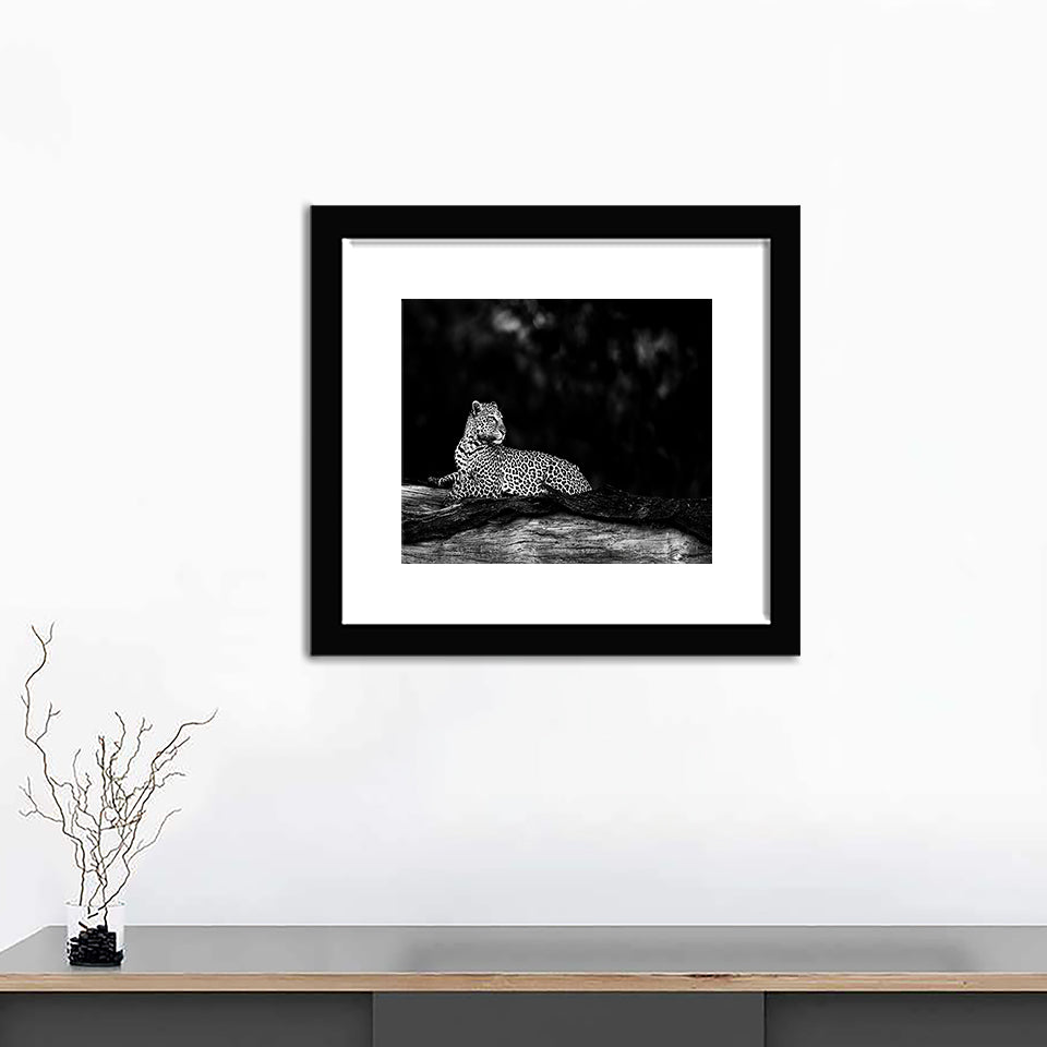 Leopard in Black and White - Art Prints, Framed Prints, Wall Art Prints, Frame Art
