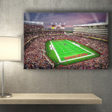 Levis Stadium, Stadium Canvas, Sport Art, Gift for him, Fan Gift, Canvas Prints Wall Art Decor