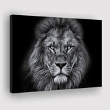 Lion Black & White Canvas Prints Wall Art Decor - Paiting Canvas, Art Prints, Wall Decor, For Sale