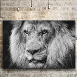 Lion Original Art Canvas Prints Wall Art Decor - Paiting Canvas, Art Prints, Wall Decor, For Sale