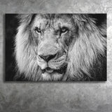 Lion Original Art Canvas Prints Wall Art Decor - Paiting Canvas, Art Prints, Wall Decor, For Sale