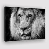 Lion Original Art Canvas Prints Wall Art Decor - Paiting Canvas, Art Prints, Wall Decor, For Sale