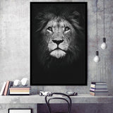 Lion Portrait 3 Framed Art Prints Wall Decor - Painting Prints, Wall Art, Framed Picture, For Sale