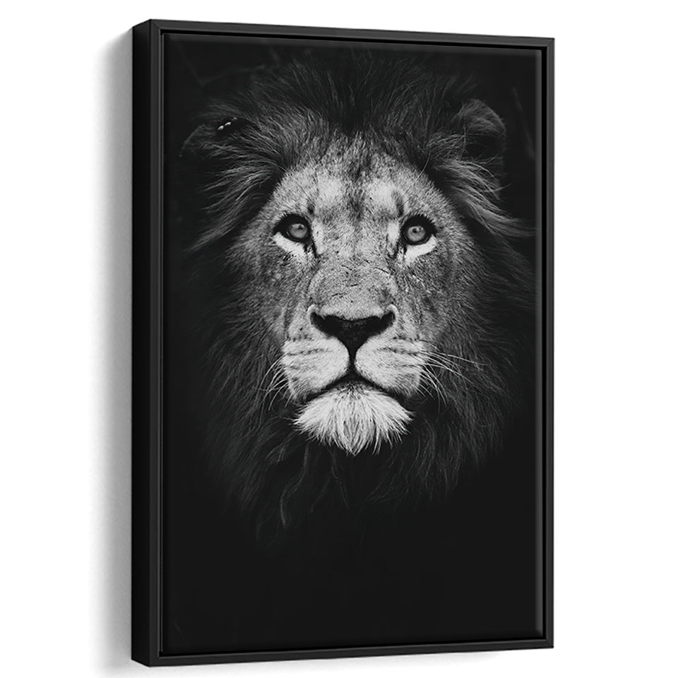 Lion Portrait 3 Framed Canvas Prints Wall Art - Painting Canvas, Floating Frame, Painting Prints, For Sale