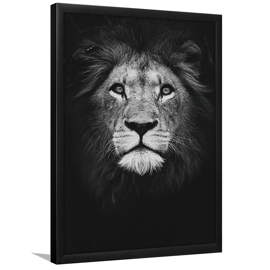 Lion Portrait 3 Framed Art Prints Wall Decor - Painting Prints, Wall Art, Framed Picture, For Sale