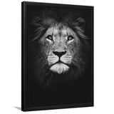 Lion Portrait 3 Framed Art Prints Wall Decor - Painting Prints, Wall Art, Framed Picture, For Sale