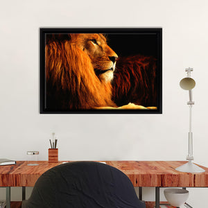 Lion In The Dark Framed Canvas Wall Art - Framed Prints, Canvas Prints, Prints for Sale, Canvas Painting