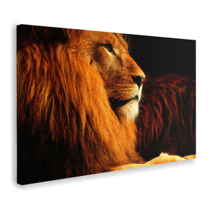 Lion In The Dark Canvas Wall Art - Canvas Prints, Prints for Sale, Canvas Painting, Canvas On Sale