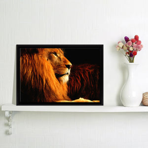 Lion In The Dark Framed Canvas Wall Art - Framed Prints, Canvas Prints, Prints for Sale, Canvas Painting