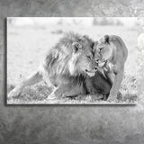Lions Couple In Love Black Adn White Canvas Prints Wall Art - Painting Canvas,Wall Decor,Art Print,Home Decor