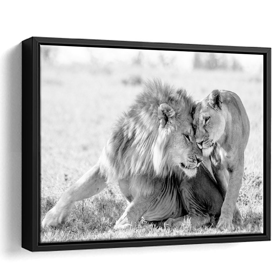 Lions Couple In Love Black Adn White Framed Canvas Prints Wall Art - Painting Canvas,Framed Picture,Home Art Wall Decor