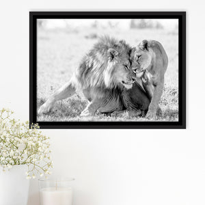 Lions Couple In Love Black Adn White Framed Canvas Prints Wall Art - Painting Canvas,Framed Picture,Home Art Wall Decor