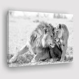 Lions Couple In Love Black Adn White Canvas Prints Wall Art - Painting Canvas,Wall Decor,Art Print,Home Decor