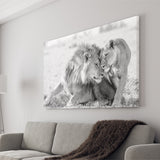 Lions Couple In Love Black Adn White Canvas Prints Wall Art - Painting Canvas,Wall Decor,Art Print,Home Decor