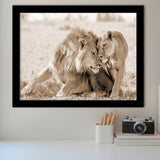 Lions In Love Sepia Framed Art Prints Wall Decor - Painting Prints,Wall Art, Framed Picture,For Sale