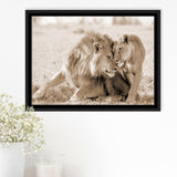Lions In Love Sepia Framed Canvas Prints Wall Art - Painting Canvas,Floating Frame, Painting Prints,For Sale