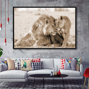 Lions In Love Sepia Framed Canvas Prints Wall Art - Painting Canvas,Floating Frame, Painting Prints,For Sale