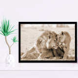 Lions In Love Sepia Framed Art Prints Wall Decor - Painting Prints,Wall Art, Framed Picture,For Sale