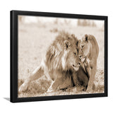 Lions In Love Sepia Framed Art Prints Wall Decor - Painting Prints,Wall Art, Framed Picture,For Sale