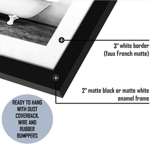 Llama In Bathtub Black And White-Black and white Art, Art Print, Plexiglass Cover