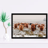 Longhorn Cow Framed Art Prints Wall Art Decor, Framed Picture, Home Decor