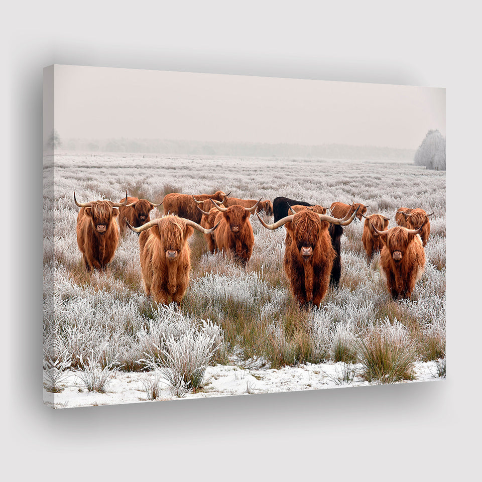 Longhorn Cow Canvas Prints Wall Art Decor - Painting Canvas,Home Decor, Ready to Hang