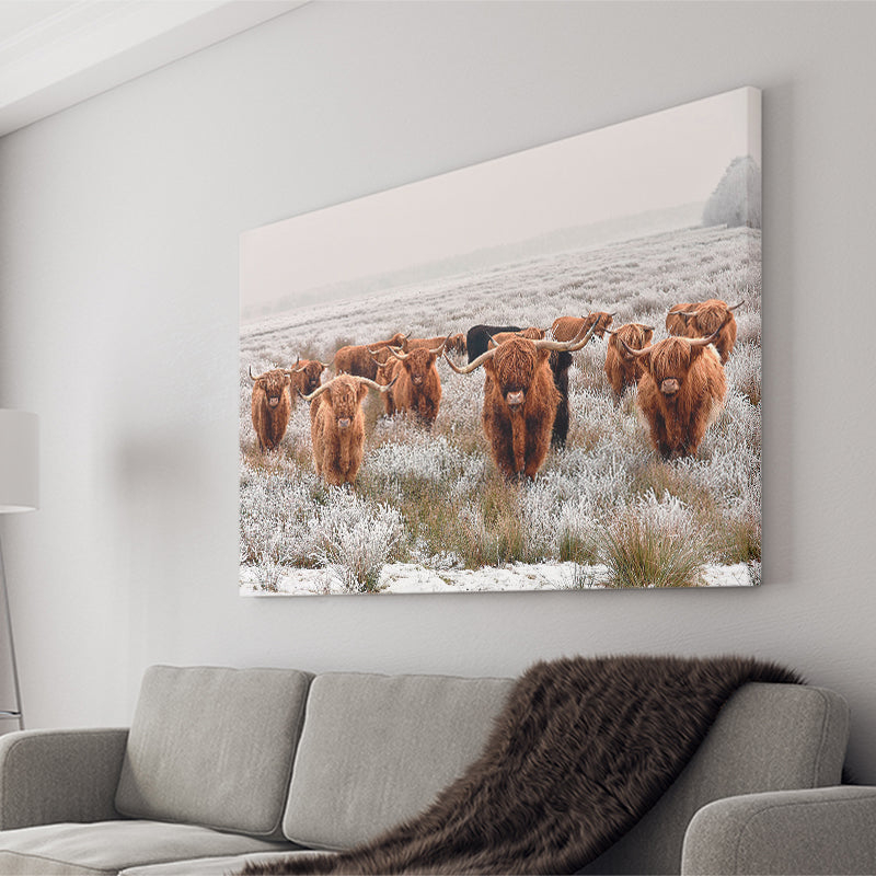 Longhorn Cow Canvas Prints Wall Art Decor - Painting Canvas,Home Decor, Ready to Hang