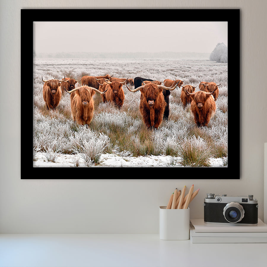 Longhorn Cow Framed Art Prints Wall Art Decor, Framed Picture, Home Decor