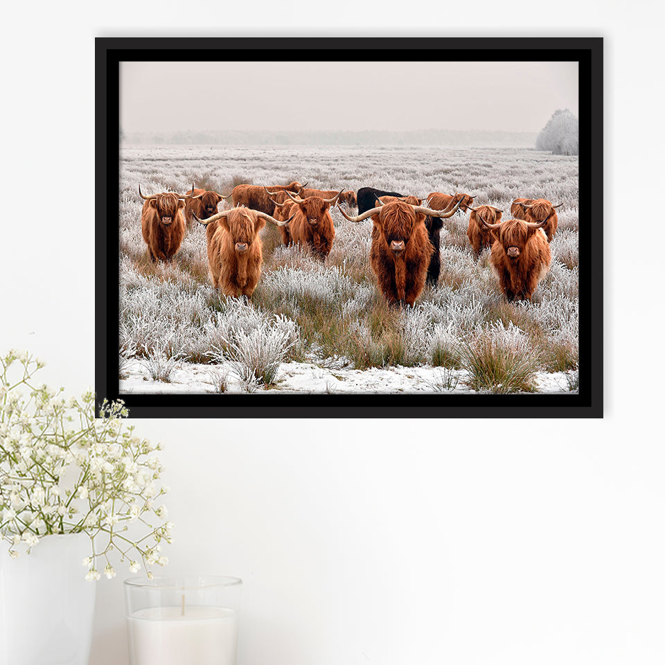 Longhorn Cow Framed Canvas Prints Wall Art Decor, Framed Picture, Floating Frame