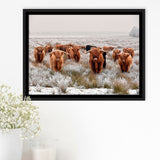 Longhorn Cow Framed Canvas Prints Wall Art Decor, Framed Picture, Floating Frame