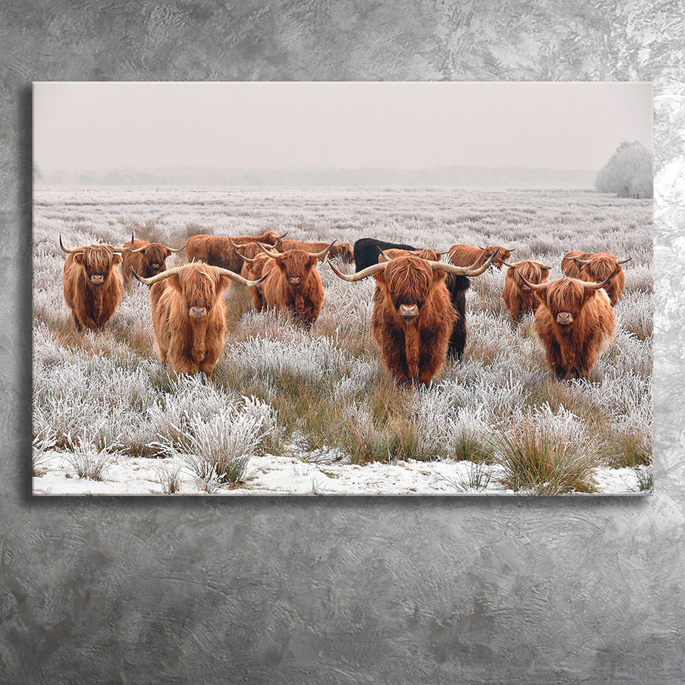 Longhorn Cow Canvas Prints Wall Art Decor - Painting Canvas,Home Decor, Ready to Hang