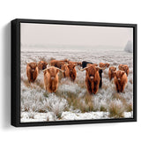 Longhorn Cow Framed Canvas Prints Wall Art Decor, Framed Picture, Floating Frame